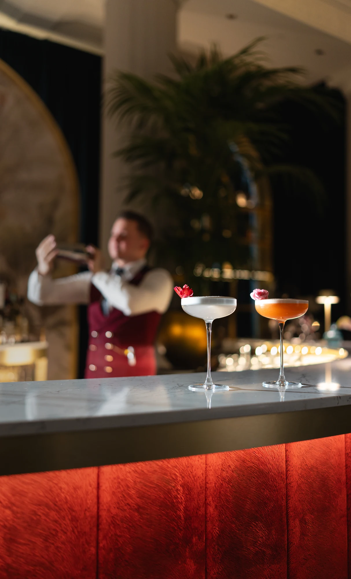 First Chapter Signature